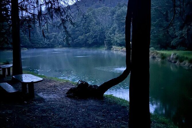 Puebla City Tour & Fireflies Sanctuary from Mexico City - Who Will Love This Tour?