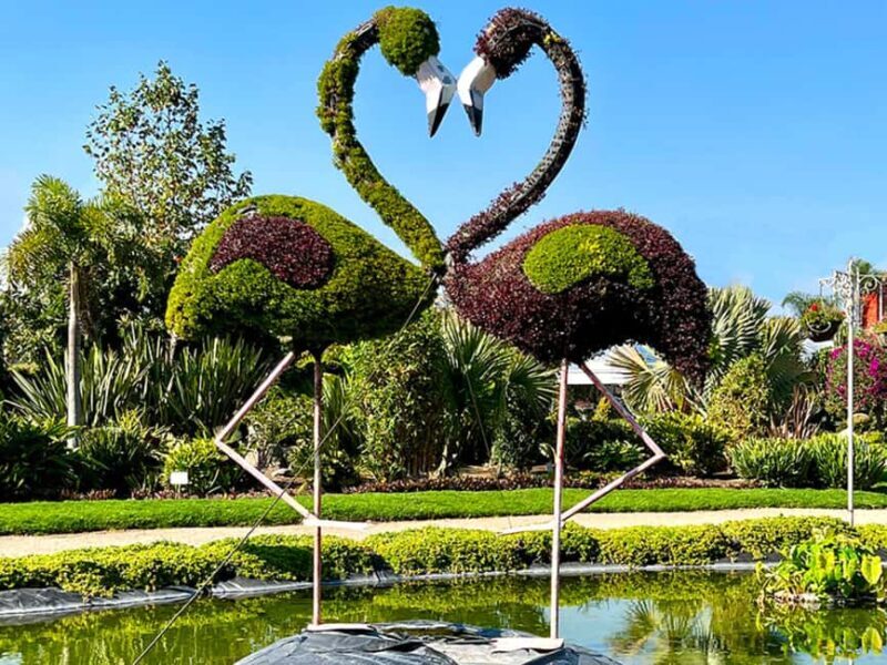 Puebla: Magical Atlixco, Volcano, Unique Garden & Plant Maze - A Deep Dive into the Tour Experience