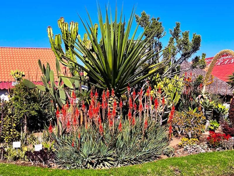 Puebla: Magical Atlixco, Volcano, Unique Garden & Plant Maze - Final Thoughts: Is This Tour Right for You?