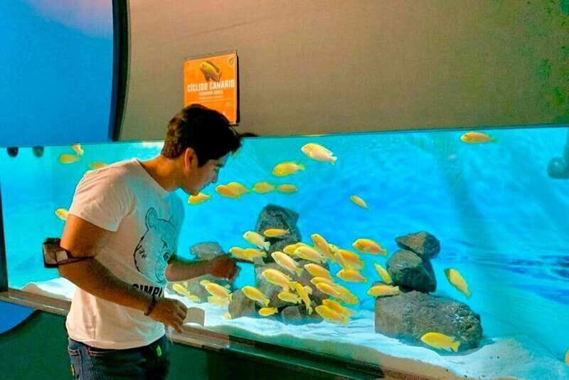 Puebla: Ticket to Aquarium Michin - Key Points