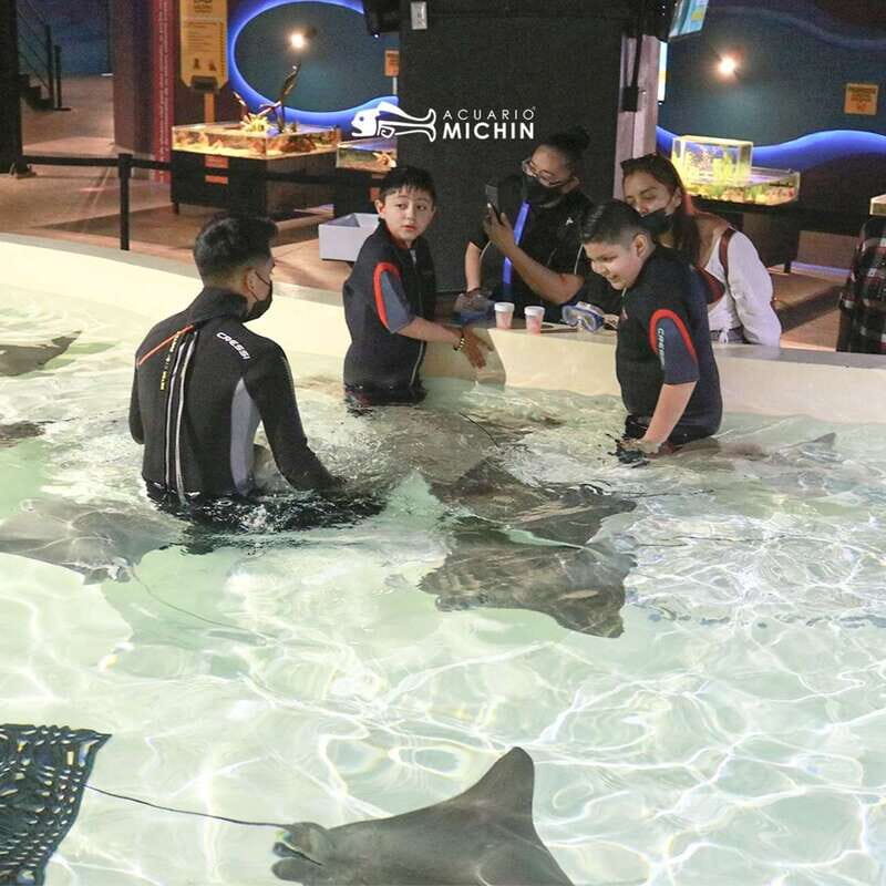 Puebla: Ticket to Aquarium Michin - Who Will Love This Tour?