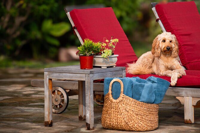 Pueo Farm Tour (1.5 hr) Upcountry Kula Maui Hawaii - Key Points