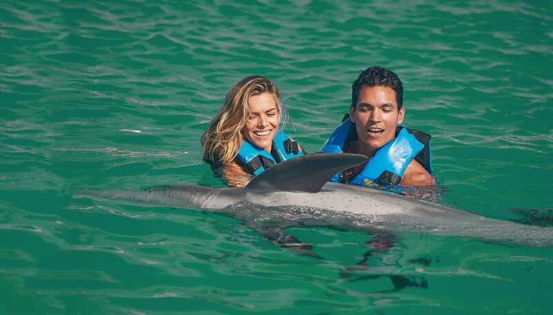 Puerto Aventuras: Amazing Dolphin Encounter with Lunch - What to Expect from This Dolphin Encounter Experience