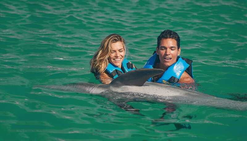Puerto Aventuras: Amazing Dolphin Encounter with Lunch - The Sum Up
