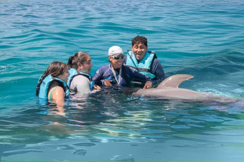 Puerto Aventuras: Dolphin and Manatee Interaction with Lunch - Puerto Aventuras: Dolphin and Manatee Interaction with Lunch — An Honest Review