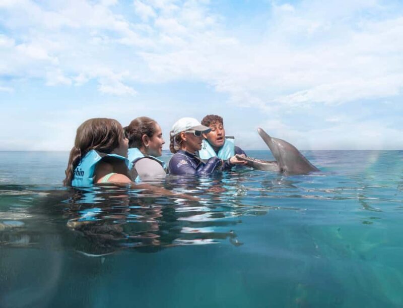 Puerto Aventuras: Dolphin and Manatee Interaction with Lunch - The Experience in Detail: Pros and Cons
