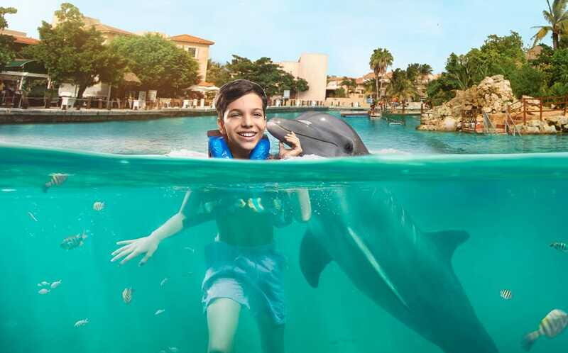 Puerto Aventuras: Dolphin Encounter with Buffet Lunch - The Sum Up