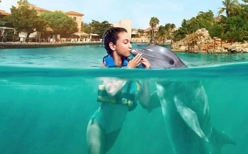 Puerto Aventuras: Dolphin Encounter with Buffet Lunch - FAQ