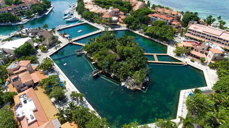 Puerto Aventuras: Dolphin & Manatee Encounter with lunch - A Look at What’s Included and What’s Not