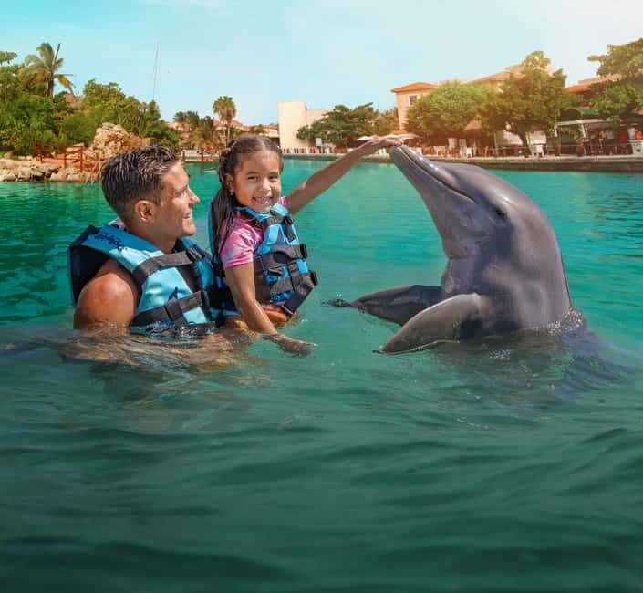 Puerto Aventuras: Dolphin & Manatee Encounter with lunch - What Real Travelers Say