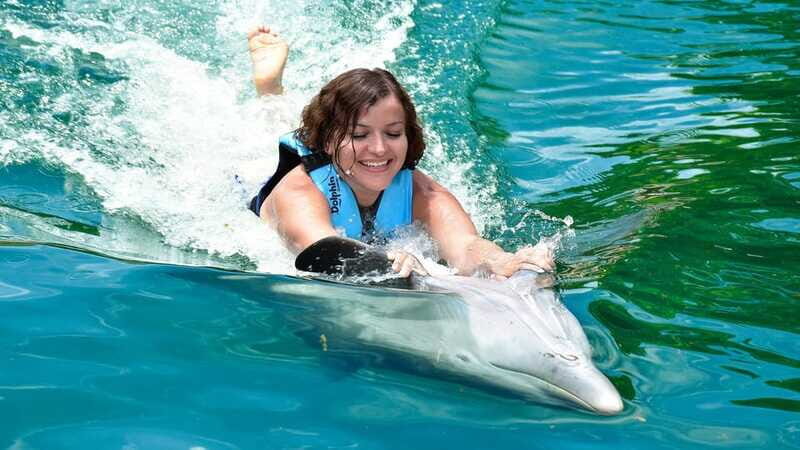 Puerto Aventuras: Dolphin & Manatee Encounter with lunch - Who Should Consider This Tour?