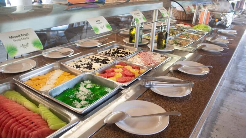 Puerto Aventuras: Dolphin & Manatee Encounter with lunch - Final Thoughts