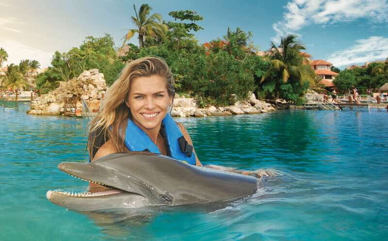 Puerto Aventuras: Dolphin Swim, Sea Lions, Manatees, & Lunch - What’s Included and What to Expect