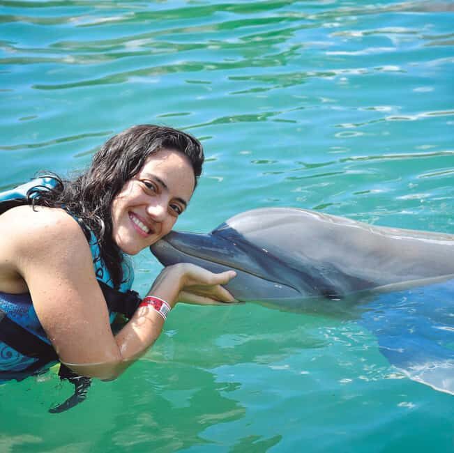 Puerto Aventuras: Dolphins, Manatee & Sea Lion interaction - Key Points