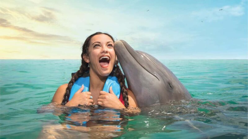 Puerto Aventuras: Dolphins, Manatee & Sea Lion interaction - What to Expect from the Experience