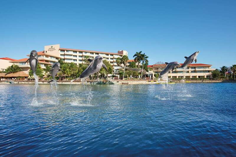 Puerto Aventuras: Dolphins, Manatee & Sea Lion interaction - The Pros and Cons