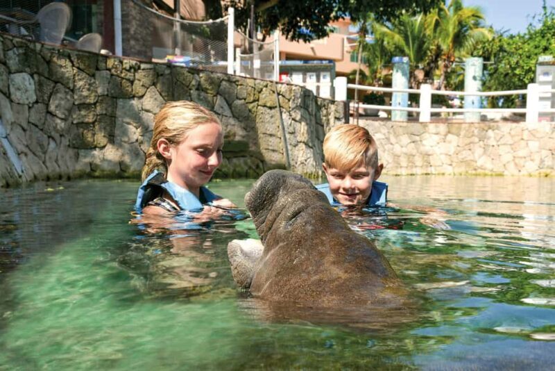 Puerto Aventuras: Dolphins, Manatee & Sea Lion interaction - FAQs