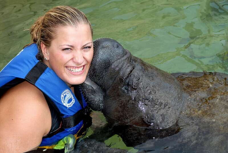 Puerto Aventuras: Manatee Encounter - The Practical Side: Cost and What’s Included