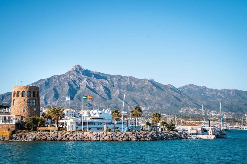 Puerto Banús: Private Cruise with Dolphins & Wakeboard - Who Will Love This Tour?