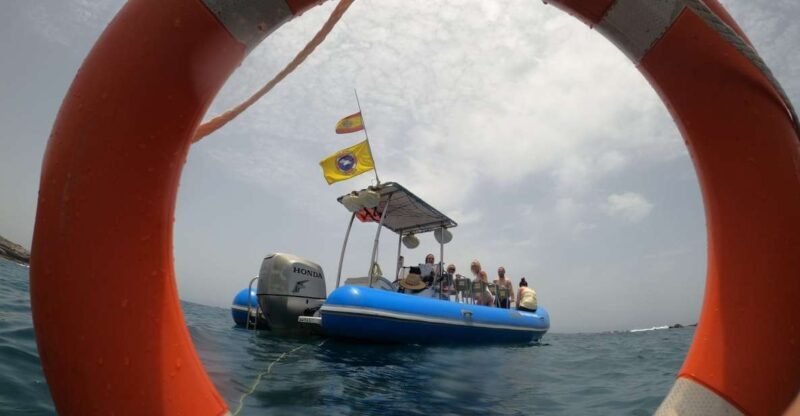 Puerto Colon: Dolphin and Whale Watching Speedboat Tour - An Honest Look at the Experience