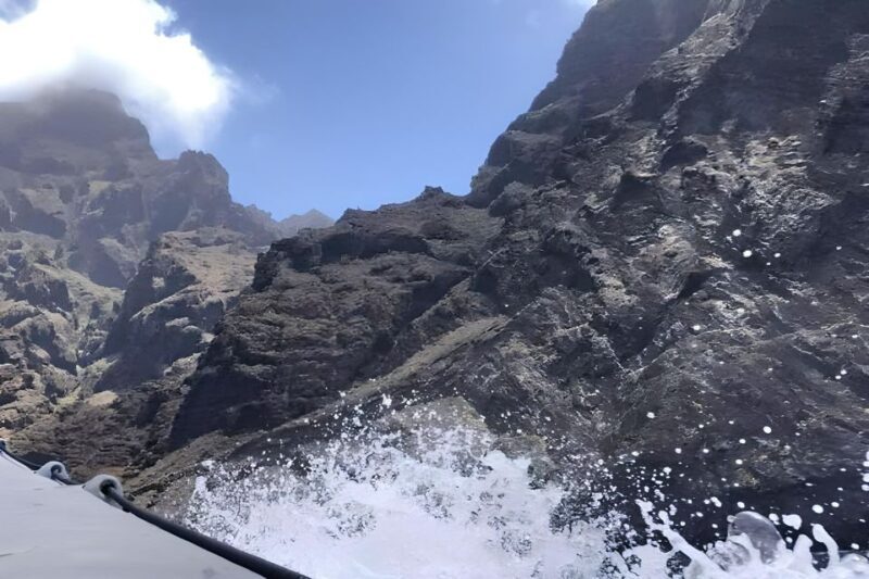 Puerto Colon: Dolphin and Whale Watching Speedboat Tour - Snorkeling and Swimming: Underwater Highlights