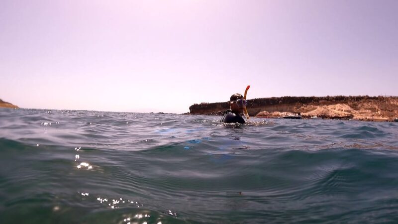 Puerto Colon: Snorkeling boat guided tour - Key Points