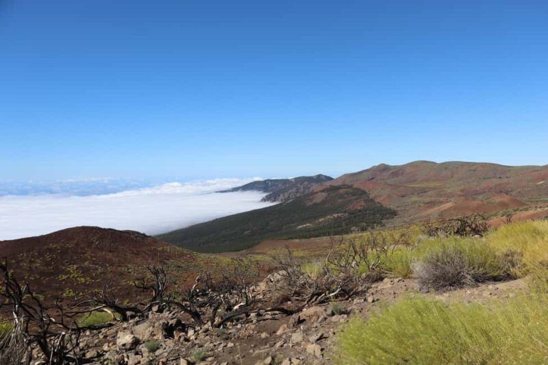 Puerto de la Cruz: Quad Teide National Park - Final Thoughts