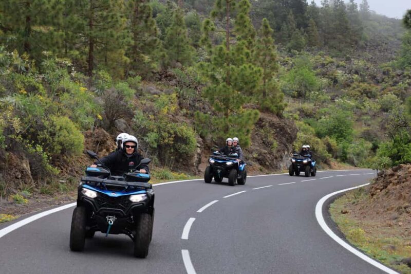 Puerto de la Cruz: Quad Teide Sunset National Park - What to Expect During the Tour