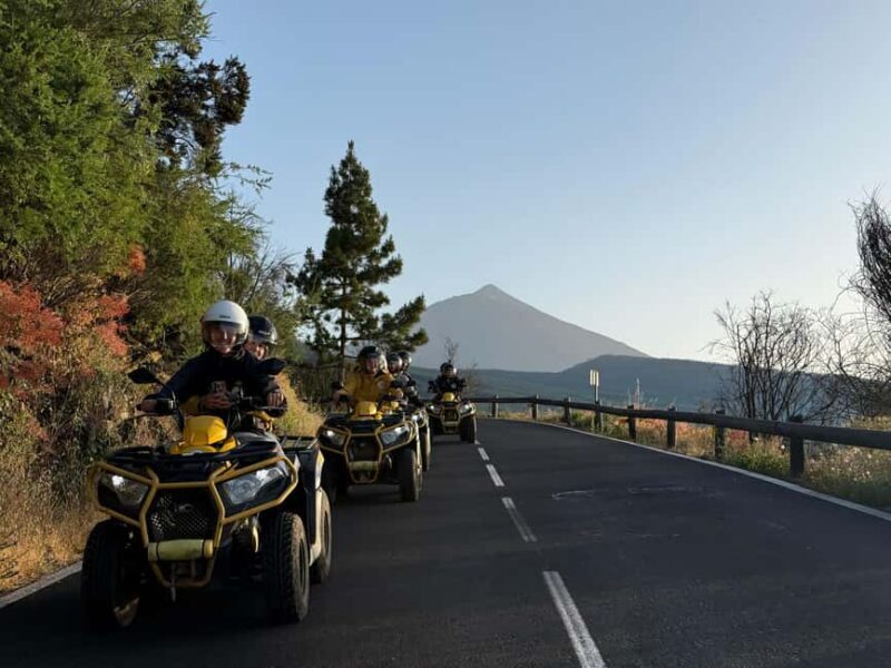 Puerto de la Cruz: Quad Tour to Teide or Off-Road Valley - Key Points