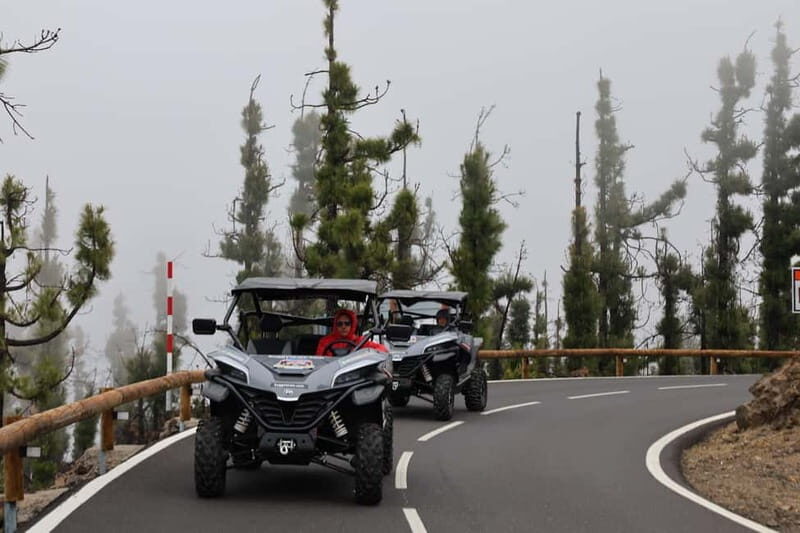 Puerto de la Cruz: Teide National Park Buggy Tour - Who Should Book This Tour?