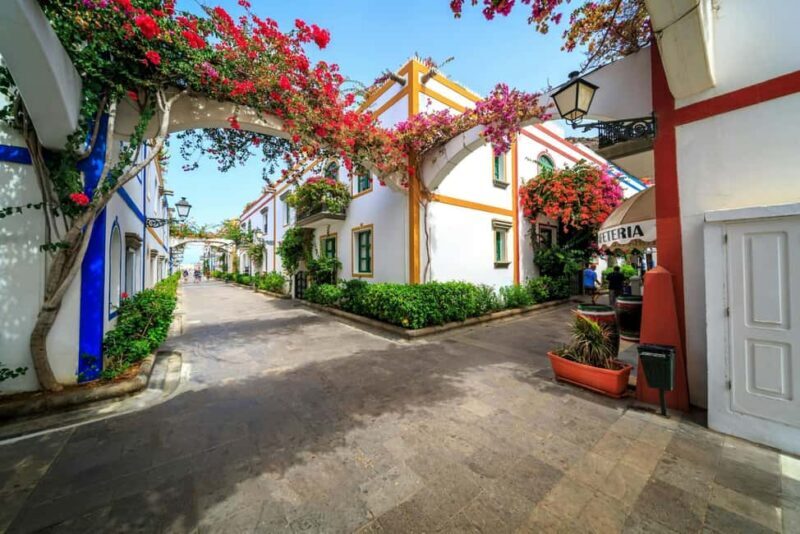 Puerto de Mogan Boat Trip with local expert escort - Comparing Value