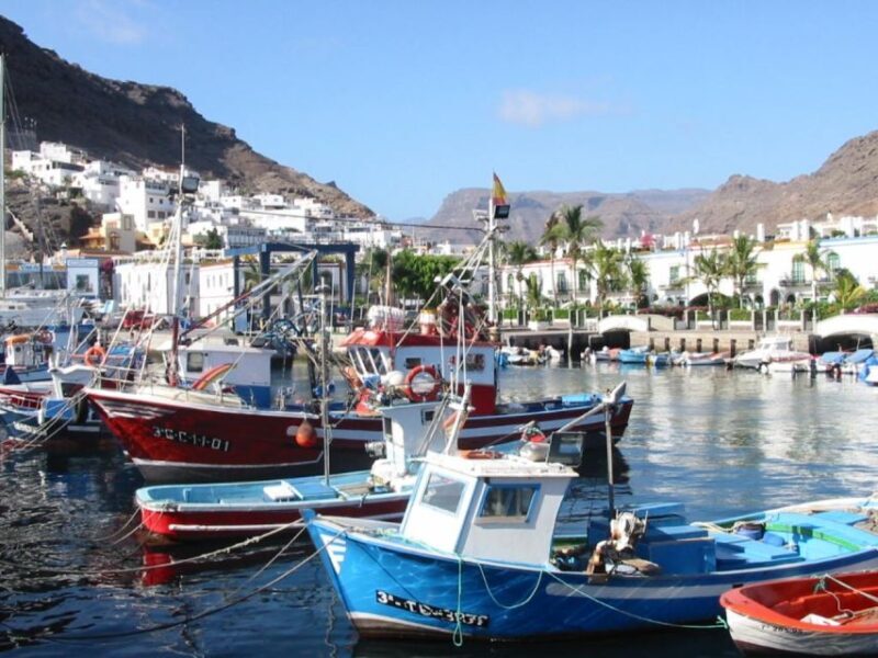 Puerto de Mogan: Friday Market Experience - Value for Money