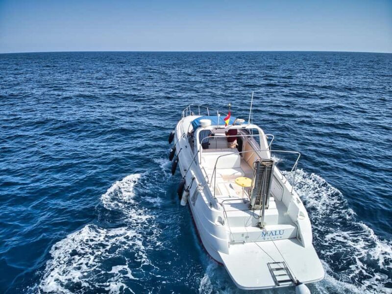 Puerto de Mogán: Private yacht for up to 9 people, 1 hour - Exploring the Private Yacht Experience in Puerto de Mogán: What You Need to Know