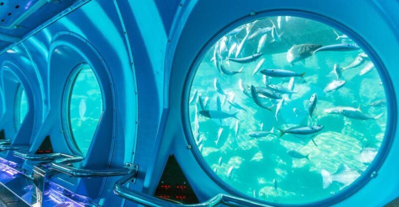 Puerto de Mogán: Submarine Tour - The Verdict: Who Should Consider This?