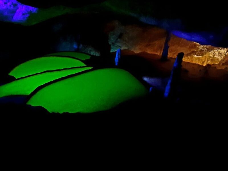 Puerto de San Miguel: Can Marçá Cave Guided Tour with Entry - Is It Worth the Price?