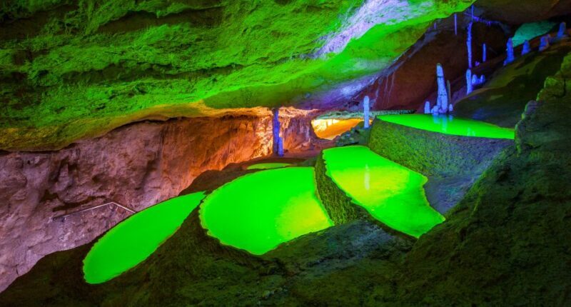 Puerto de San Miguel: Can Marçá Cave Guided Tour with Entry - Authentic Feedback from Visitors