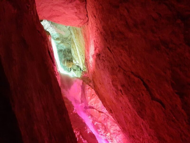 Puerto de San Miguel: Can Marçá Cave Guided Tour with Entry - Who Would Love This Tour?