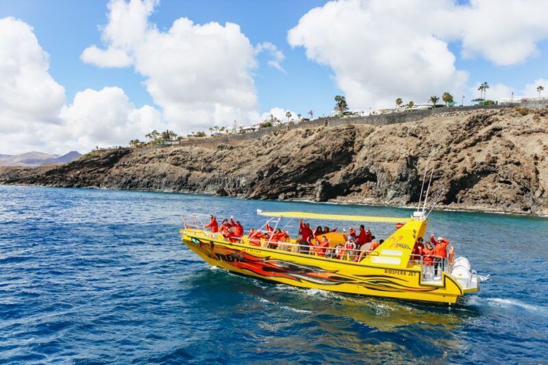 Puerto del Carmen: Dolphin-Watching Speedboat Tour with Swim - Who Will Love This Tour?