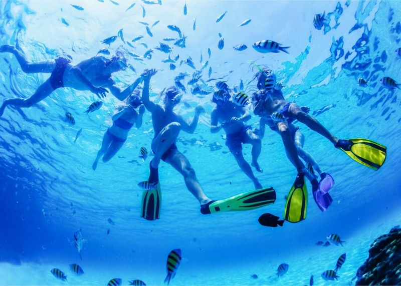 Puerto del Carmen: Dolphin-Watching Speedboat Tour with Swim - Timing and Seas: How the 1.5 Hours Really Plays Out