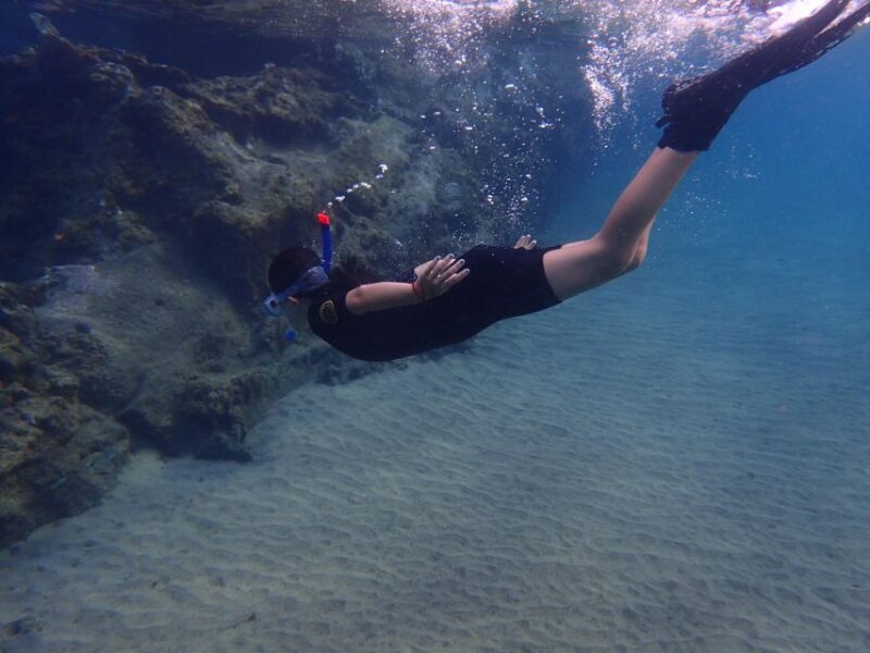 Puerto del Carmen: Snorkeling Trip with Dive Instructor - An Honest Look at the Snorkeling Experience in Lanzarote