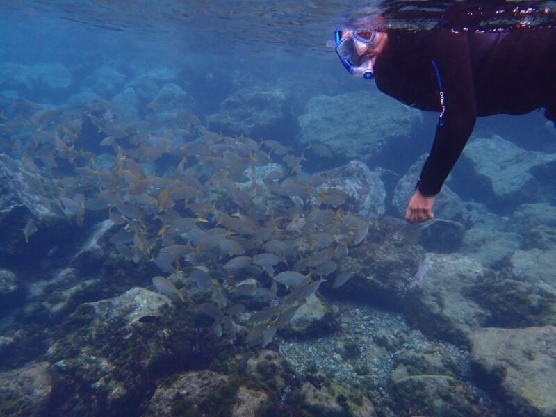 Puerto del Carmen: Snorkeling Trip with Dive Instructor - Frequently Asked Questions