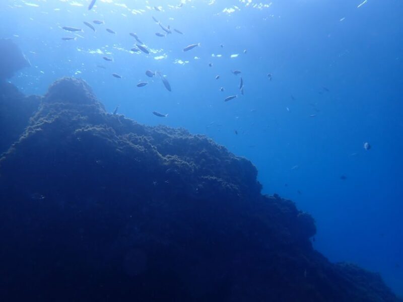 Puerto del Carmen: Try Scuba Diving from the beach - The Value for Money