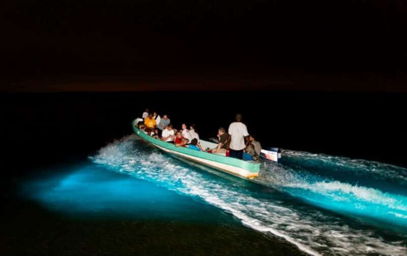 Puerto Escondido: Bioluminescence Night Spectacle - Key Points