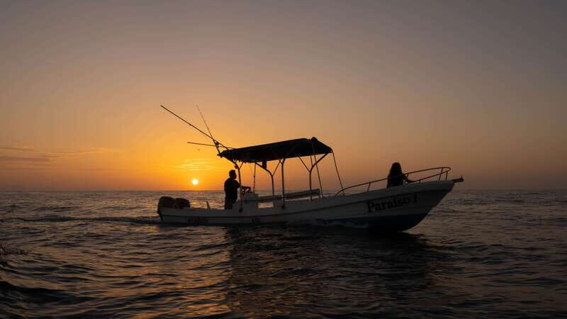 Puerto Escondido: Boat Tour among Dolphins and Turtles - Key Points
