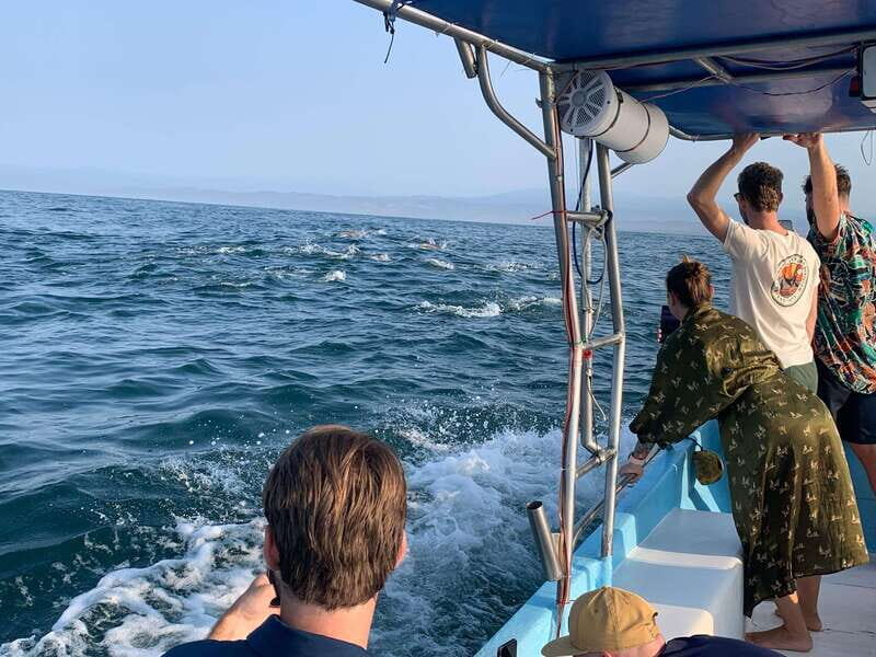 Puerto Escondido: Boat Tour to see Dolphins and Marine Life - Key Points