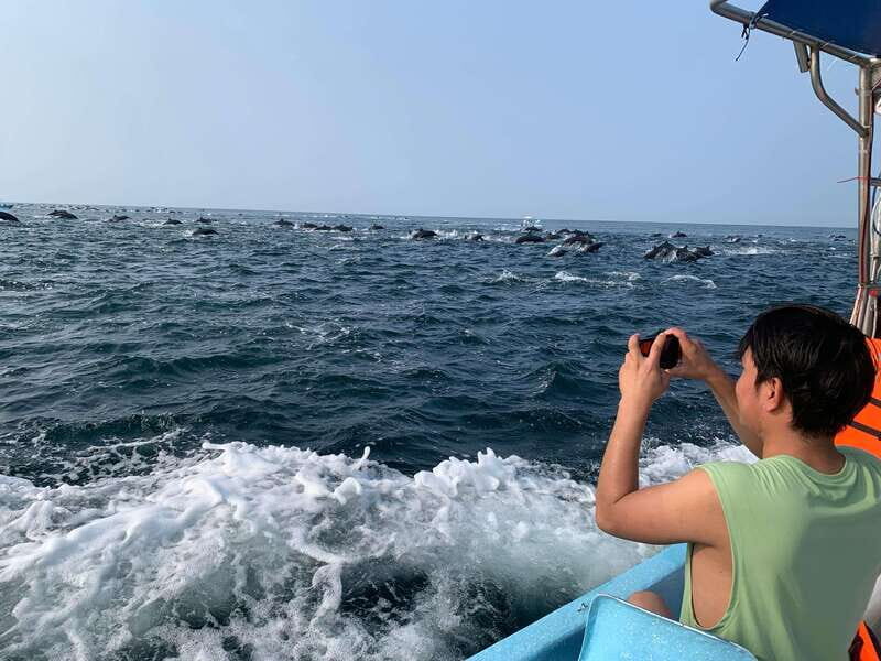 Puerto Escondido: Boat Tour to see Dolphins and Marine Life - An Honest Breakdown of the Tour Experience