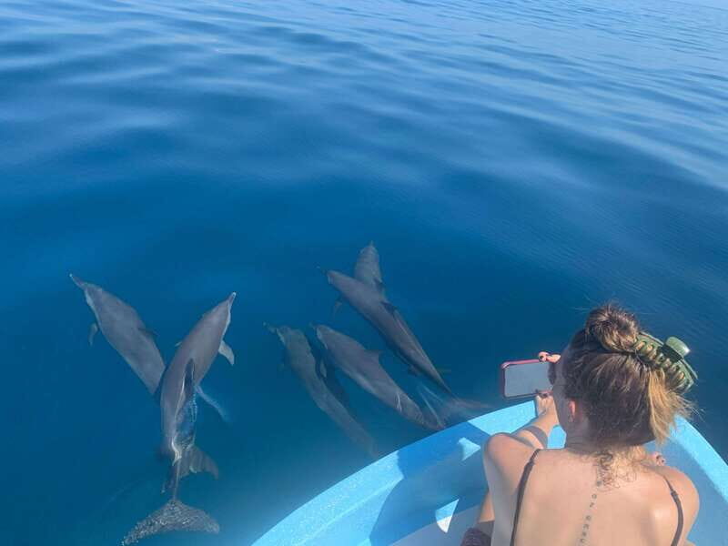 Puerto Escondido: Boat Tour to see Dolphins and Marine Life - FAQs