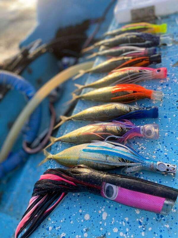 Puerto Escondido: Fishing Boat Trip with Buffet Lunch - Key Points