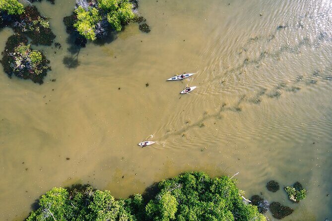 Puerto Escondido: Manialtepec Lagoon by Kayak - FAQ