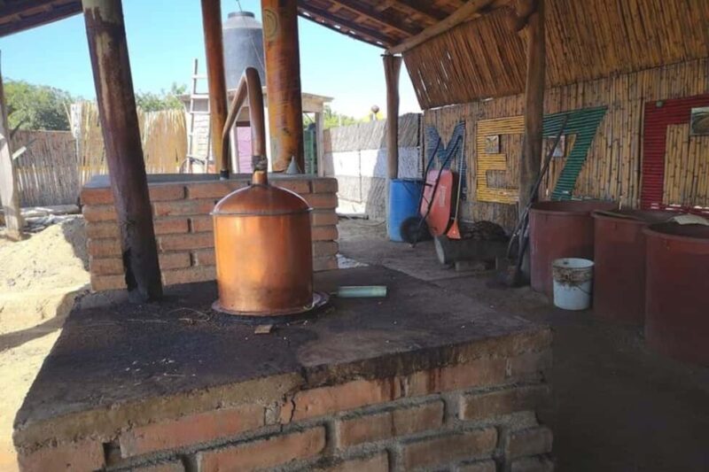 Puerto Escondido: Mezcal, Coffee, and Pedal Loom Factory - Key Points